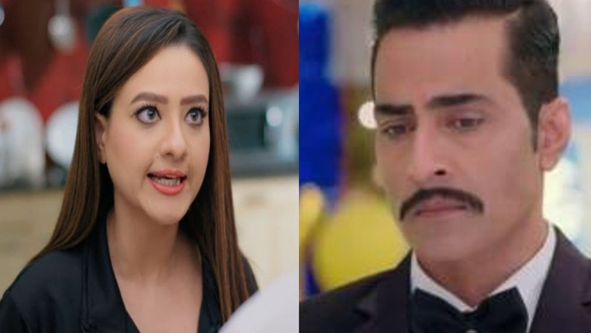 Anupama, TV Show, Entertainment