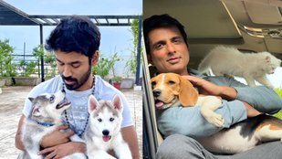 Sonu sood, Dhanus, Entertainment