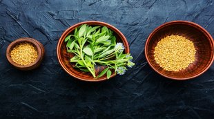 fenugreek-seed