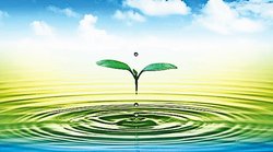 संभावना का समकाल