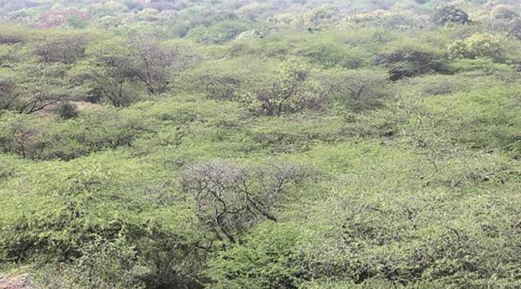 Dacoit gauri yadav, dadua gang, bundelkhand, chitrakoot