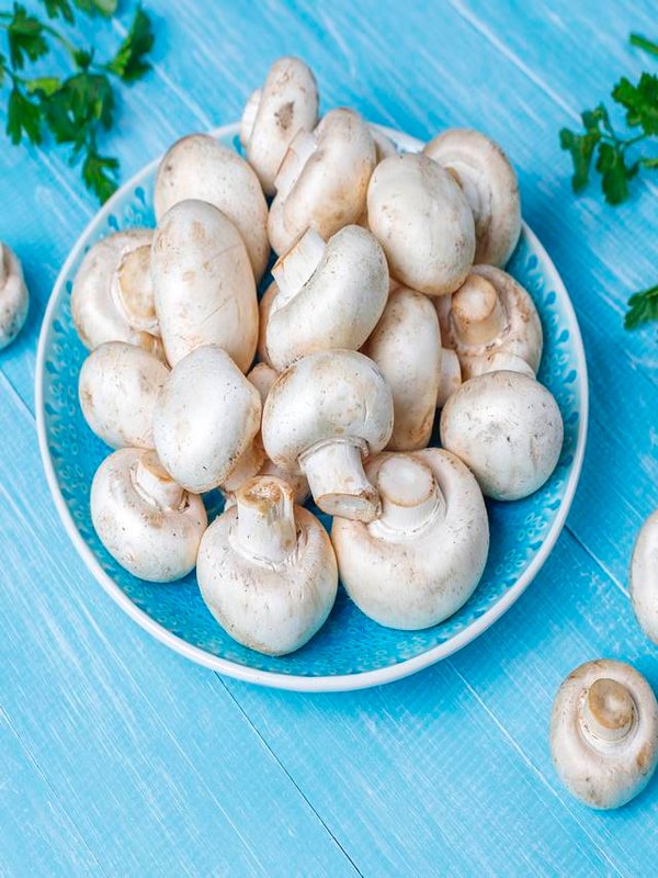 Fresh organic white mushrooms champignon,top view
