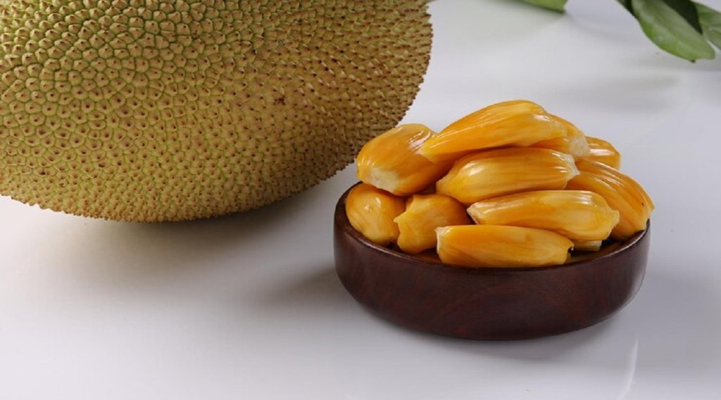jack fruits