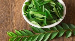 Skin Care: मुहांसों से निजात दिलाने में कारगर है करी पत्ता, घर पर ऐसे करें फेस पैक तैयार