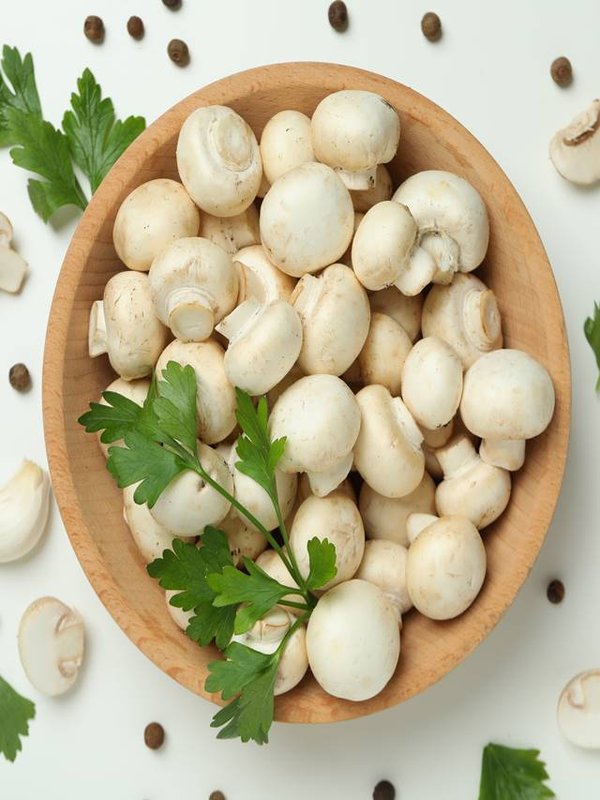 Concept of tasty food with champignon on white