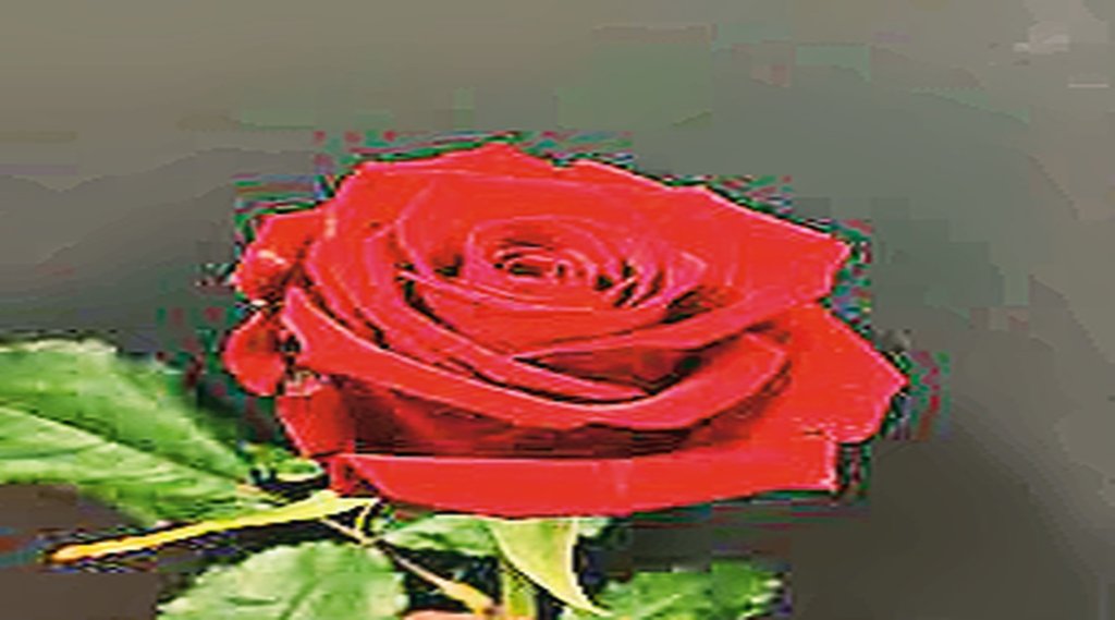 संगत की महक