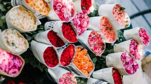 Rose day 2022. valentine day 2022