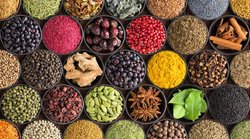 Immunity Booster Spices: आपके घर में ही छिपा है मजबूत इम्युनिटी का राज, किचन के ये 5 मसाले करेंगे इम्युनिटी बूस्ट