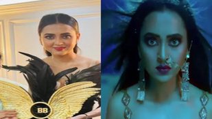 Tejasswi prakash, Biggboss, Naagin6