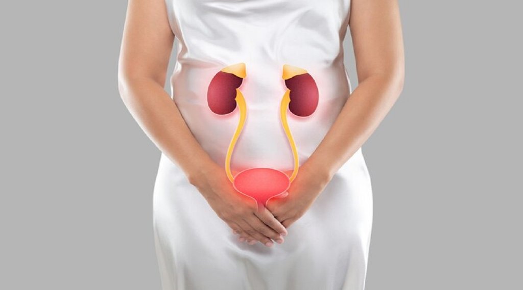 urine infection