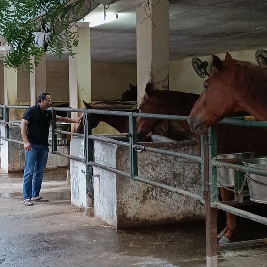 अनुराग इटावा के रहने वाले हैं। वहीं पर उनका फार्म हाउस है जहां पर उन्होंने कई विदेशी नस्ल के घोड़े पाल रखे हैं। 