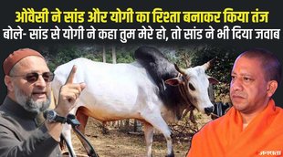 UP ELECTION 2022