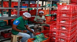 बिग बास्केट के आगे बौनी है रिलायंस के मलिक मुकेश अंबानी की यह फर्म