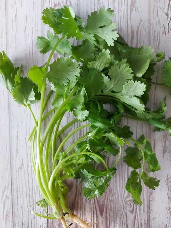 CORIANDER FOR SKIN - BENEFITS