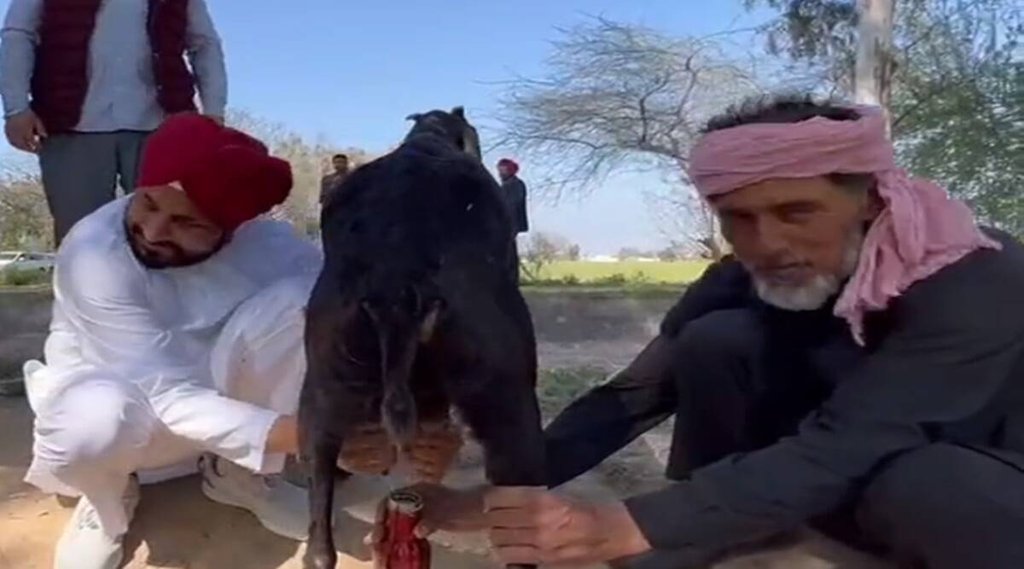 Punjab CM| Charan Jeet Singh Chhani|