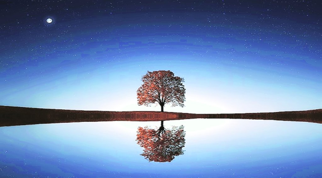 प्रकृति और संस्कृति