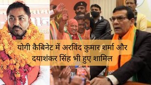 yogi 2.0