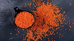 Skin Care: झुर्रियों से निजात दिलाता है मसूर की दाल का पैक, जानिये घर पर बनाने का तरीका