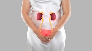 kidney