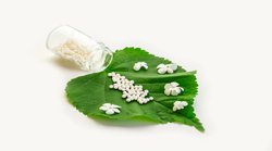 Uric Acid: यूरिक एसिड को कंट्रोल करने में मददगार है होम्योपैथी उपचार, जानिये क्या कहते हैं एक्सपर्ट