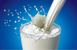 Amul, Parag, Sanchi, Khajuraho Milk