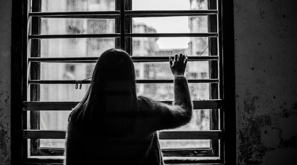 gujarat, bjp, state news