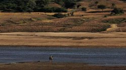 दुर्दांत डकैत मलखान सिंह की कहानी जिसकी बंदूक की तड़तड़ाहट से गूंज जाता था चंबल