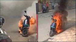 EV scooter fires: नितिन गडकरी ने दी चेतावनी, भारी जुर्माना लगाएंगे, ऐसी कंपनियों के खिलाफ होगी सख्‍त कार्रवाई  