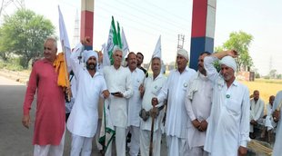 haryana farmers