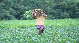 Farmer News| Petrol Diesel Price| National News