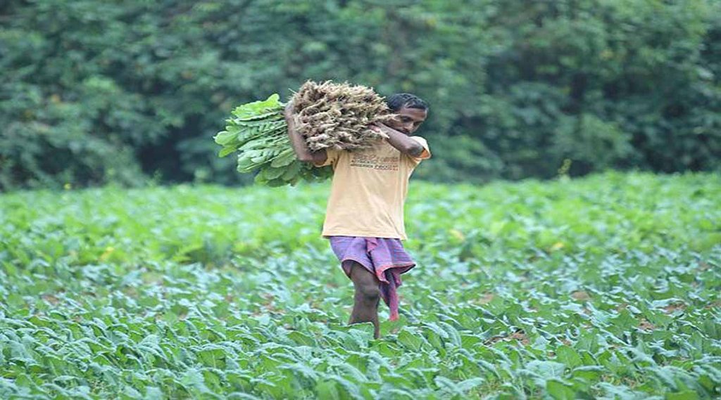 Farmer News| Petrol Diesel Price| National News