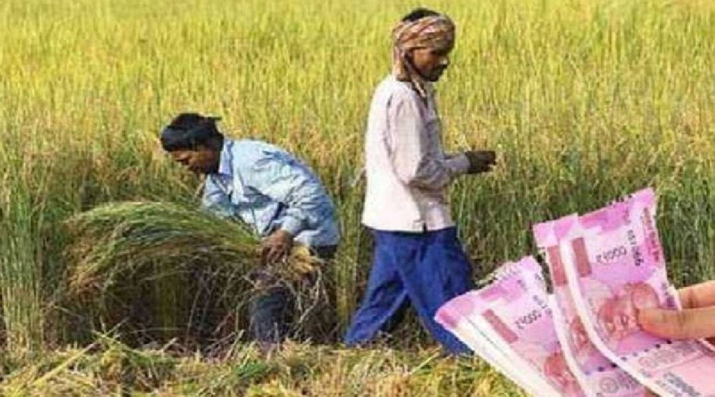PM Kisan, PM Kisan Samman Nidhi, Central Government,