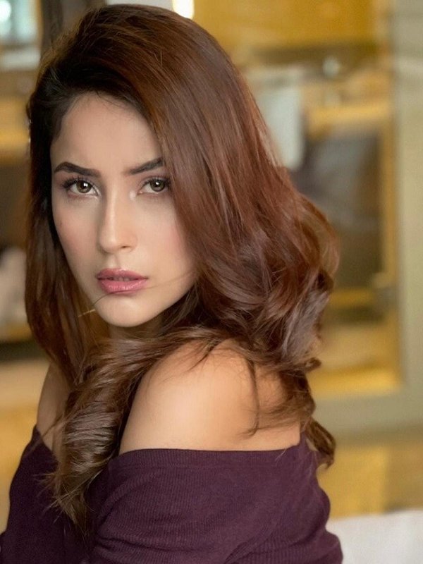 SHEHNAAZ GILL HAIRSTYLE TIPS