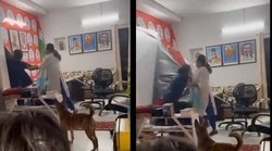 आपस में लड़ाई करते हुए 2 महिलाओं ने फाड़ दिया बीजेपी का पोस्टर, वायरल वीडियो पर मजे ले रहे हैं लोग