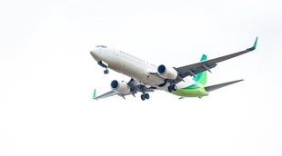 masturbates on flight, southwest airlines flight, southwest airlines incident