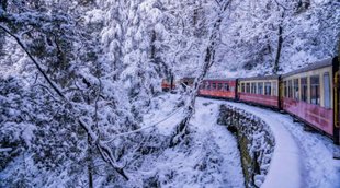 Toy Trains in Shimla