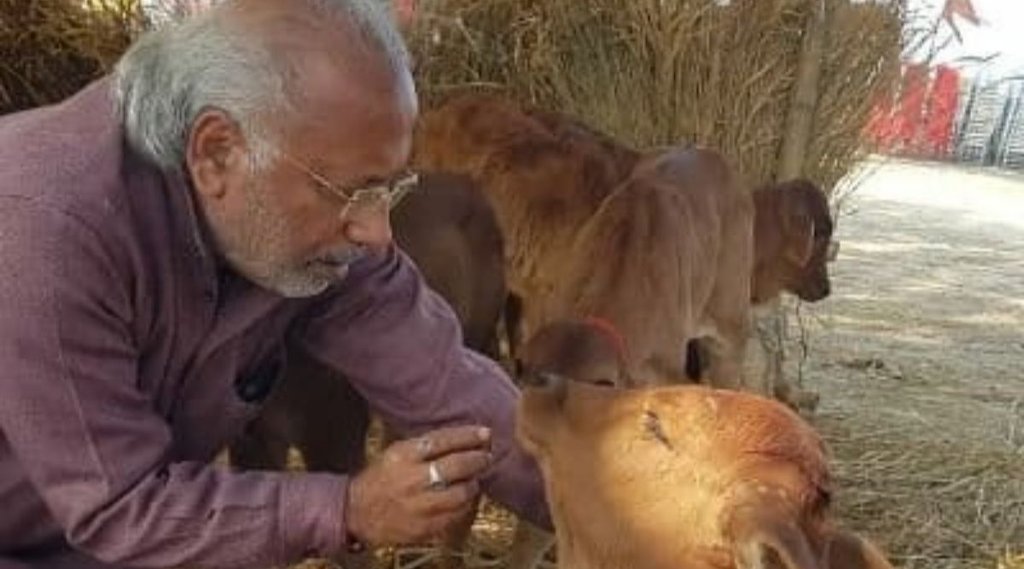 uttar pradesh, gujarat, sunil ojha