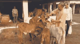 Yogi Adityanath