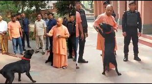 Yogi Gullu Photo| UP CM Gullu Photo| Yogi With Gullu|