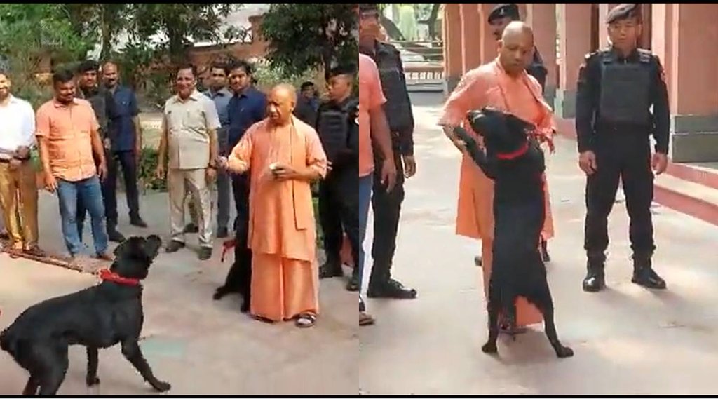 Yogi Gullu Photo| UP CM Gullu Photo| Yogi With Gullu|