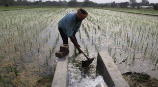 farmer income, msp, national news