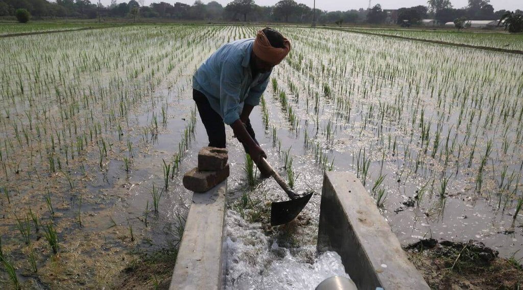farmer income, msp, national news