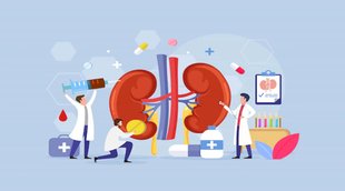 Kidney, Heath, Lifestyle