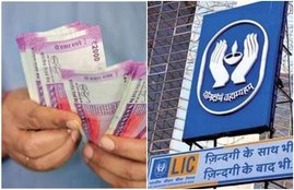 lic, life insurance corporation of india, lic apo, insurance policy
