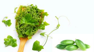 diabetes control, vegetables for sugar control, kundru leafs,