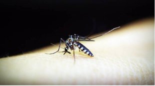 malaria, malaria symptoms, malaria medicine
