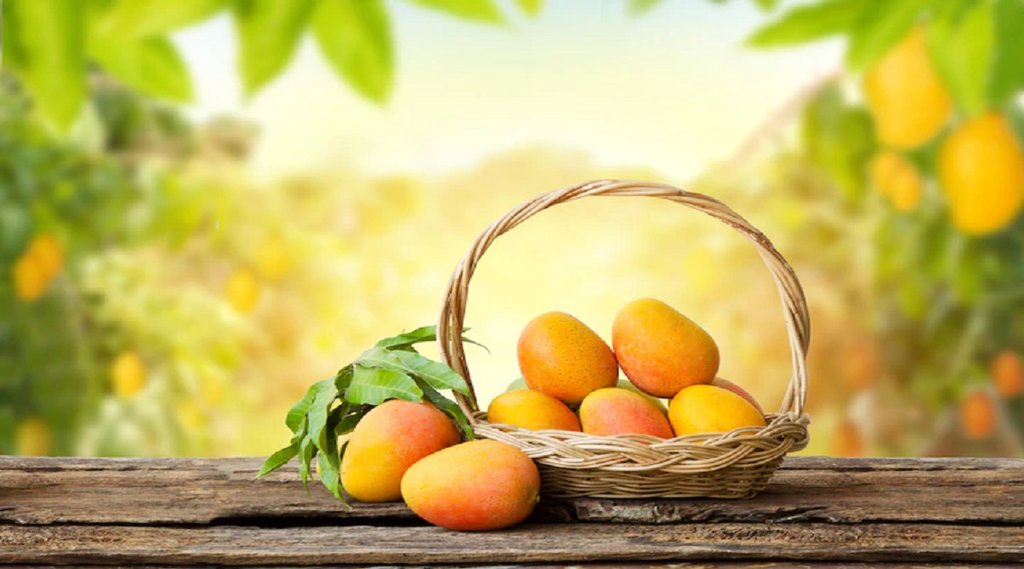Mango for weight loss, weight loss diet, weight loss food