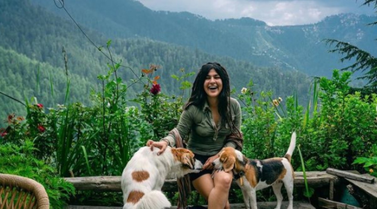 Nidhi Bhanushali, TMKOC, Television