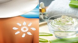 Skin Care Tips: गर्मी में चेहरे को कूल रखने के साथ ही स्किन की झुर्रियों से निजात दिलाता है एलोवेरा जेल, जानिए फायदे और तरीका