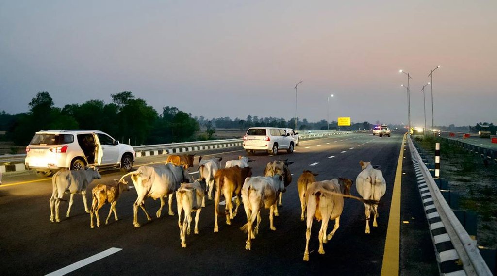 Akhilesh Yadav| Akhilesh Yadav Photo| Akhilesh Yadav Twitter Photo|